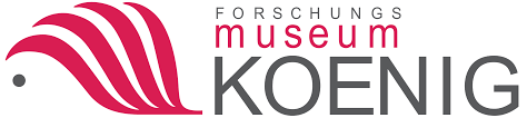 Museum König Logo